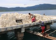 Semangat Bersama Warga Rembai Dukung TMMD Ke-127 Kodim 1709/Yawa