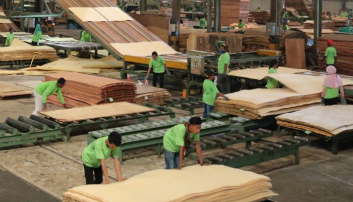 Dampak Perang Iran, PT.SWPI di Dawai Akan Rumahkan Karyawan per 30 Maret Besok !