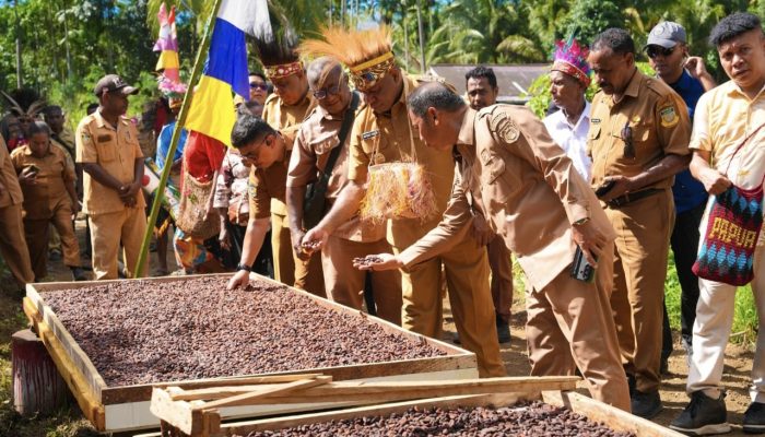 Kunjungi Yapen, Gubernur Papua Dorong Kebangkitan Perkebunan Kakao