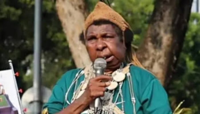 Koalisi HAM Papua Desak Pemerintah Papua Selatan Lindungi dan Pulihkan Hak Mama Yasinta Moiwend