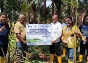DPR RI, Tony Tesar Pimpin Penanaman Bibit Sagu di Hutan Huruawaka, Dorong Pelestarian Pangan dan Budaya Papua