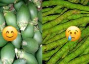 Harga Sirih di Pasar Serui Tembus 300 Ribu per Kilogram, 3 buah 10 Ribu ! Warga Penggemar Pinang Kewalahan