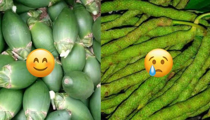 Harga Sirih di Pasar Serui Tembus 300 Ribu per Kilogram, 3 buah 10 Ribu ! Warga Penggemar Pinang Kewalahan