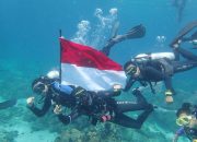 Mendagri Ungkap Alasan Biak Dipilih Jadi Lokasi Upacara Bawah Laut HUT ke-81 RI